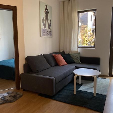 2 Bedroom Apartment Next To Gondola Ski Lift Bansko Bagian luar foto